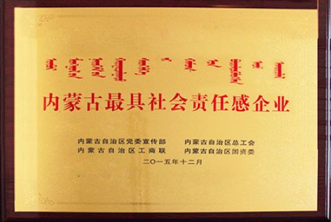 ���ɹ����������θ���ҵ